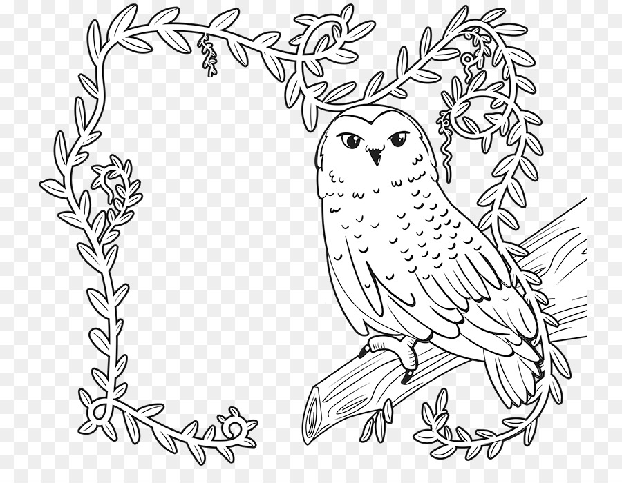 Forêt Enchantée，Livre De Coloriage PNG