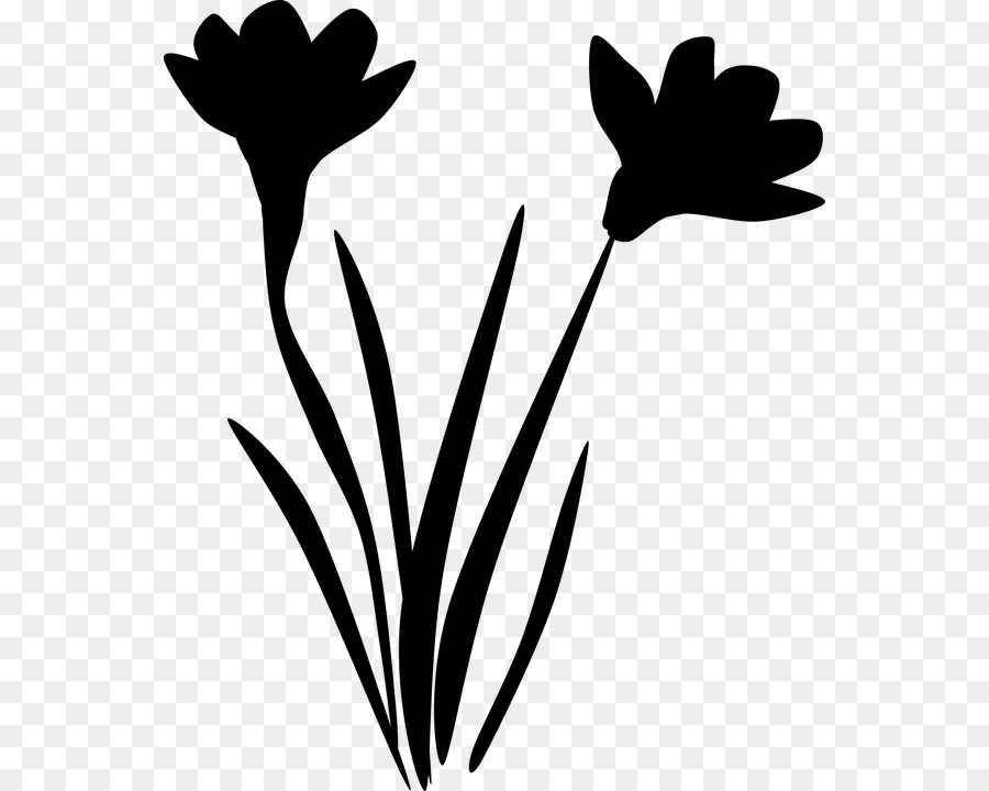 Fleurs Noires，Plantes PNG