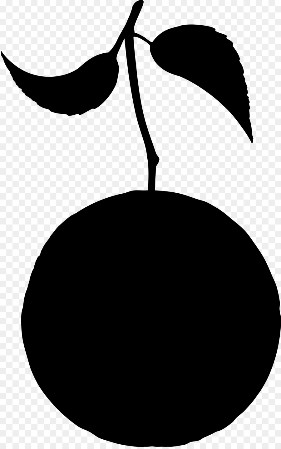 Fruits，Silhouette PNG