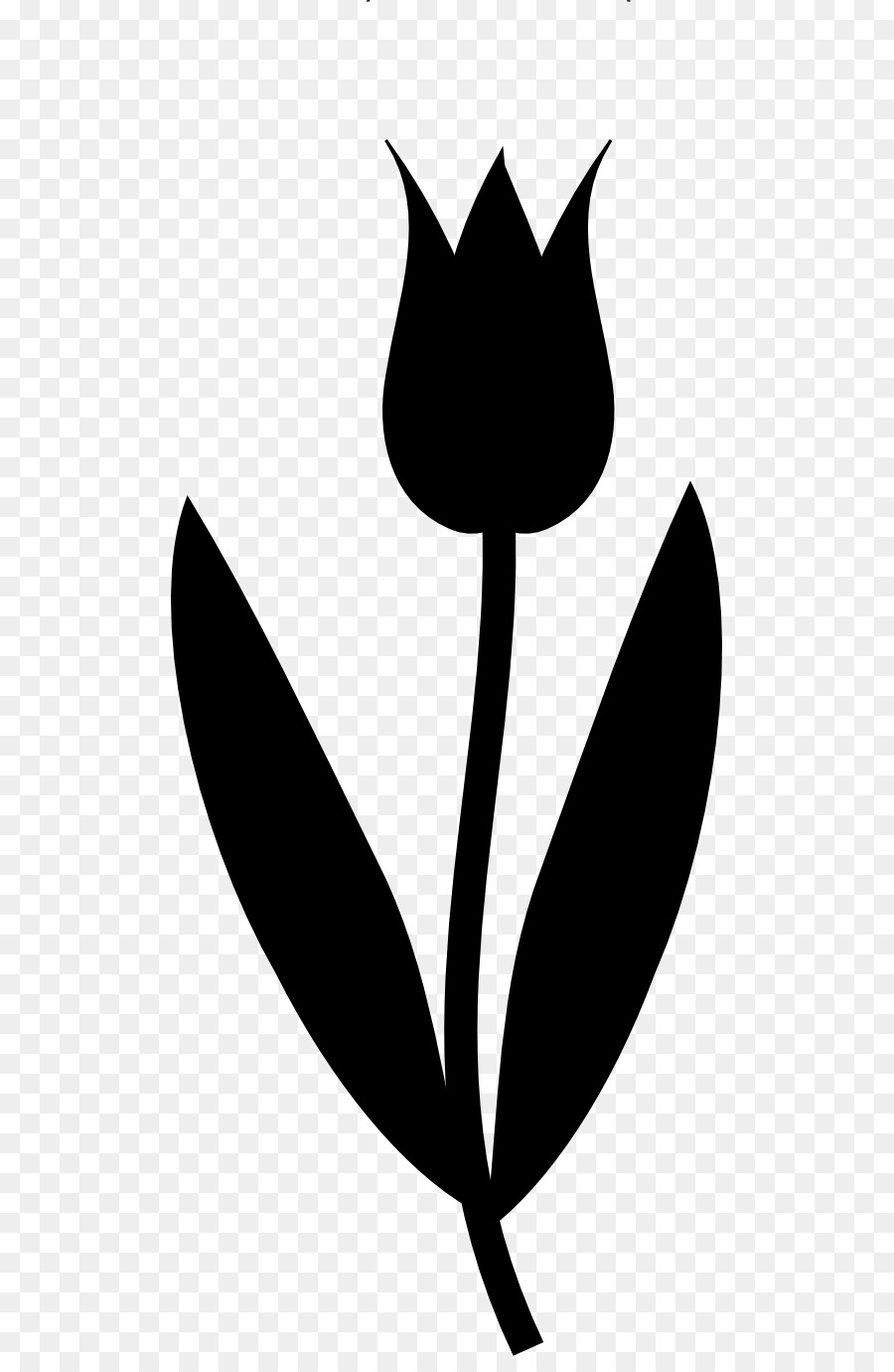 Tulipe Noire，Usine PNG