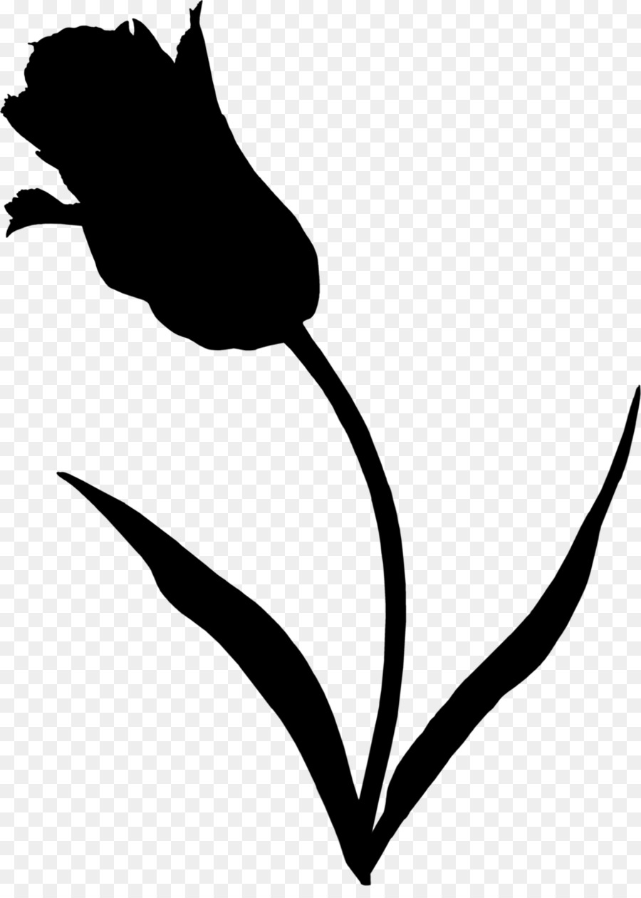 Fleurs Noires，Nature PNG