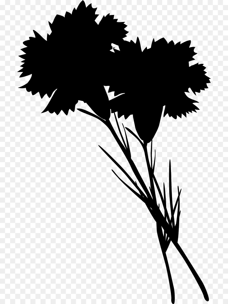 Fleur De Silhouette Noire，Usine PNG