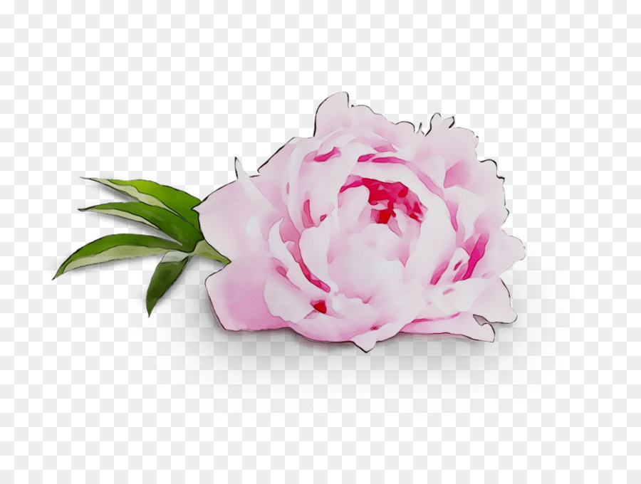 Fleur Rose，Fleurir PNG