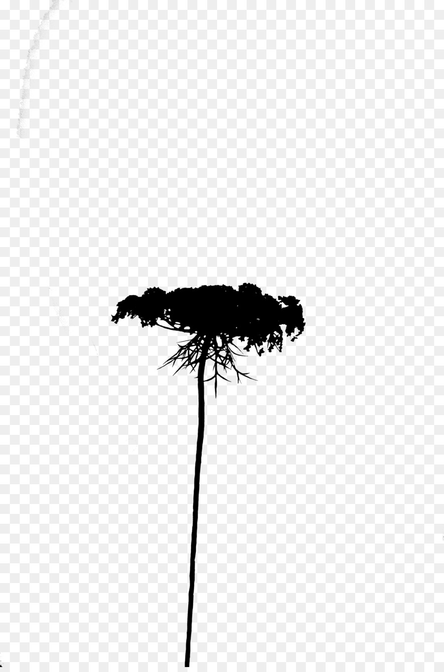 Arbre，Silhouette PNG