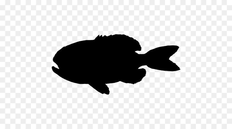 Poisson，Aquatique PNG