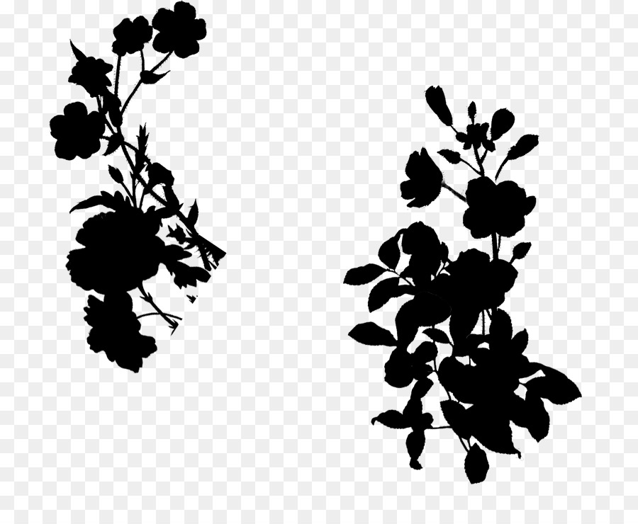 Silhouette Florale Noire，Fleurs PNG