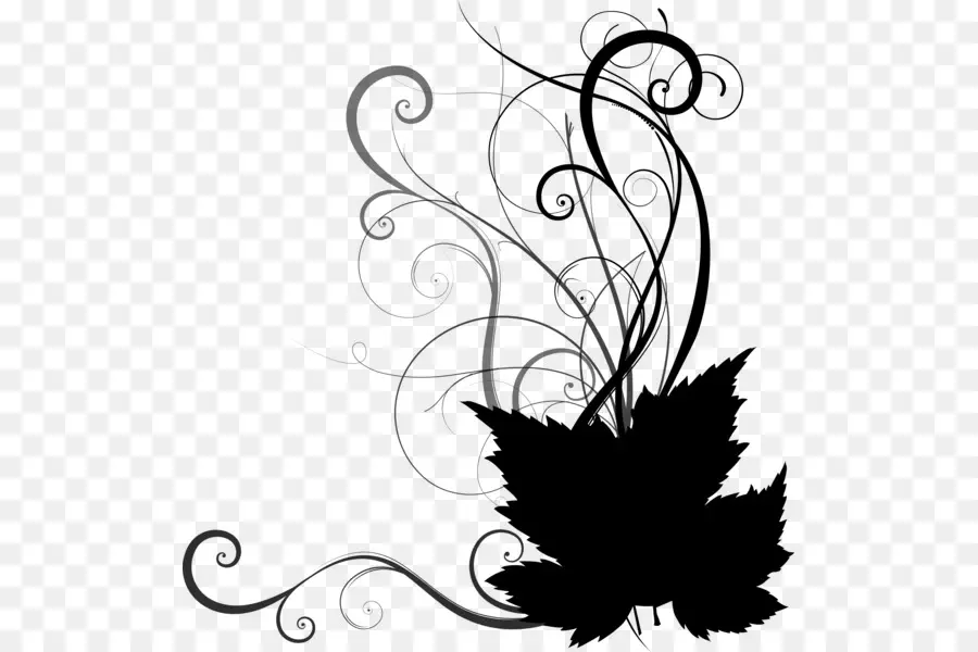 Motif Floral Noir，Feuilles PNG