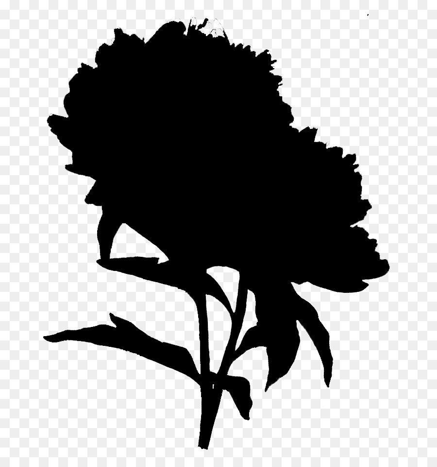 Silhouette De Plante，Feuilles PNG