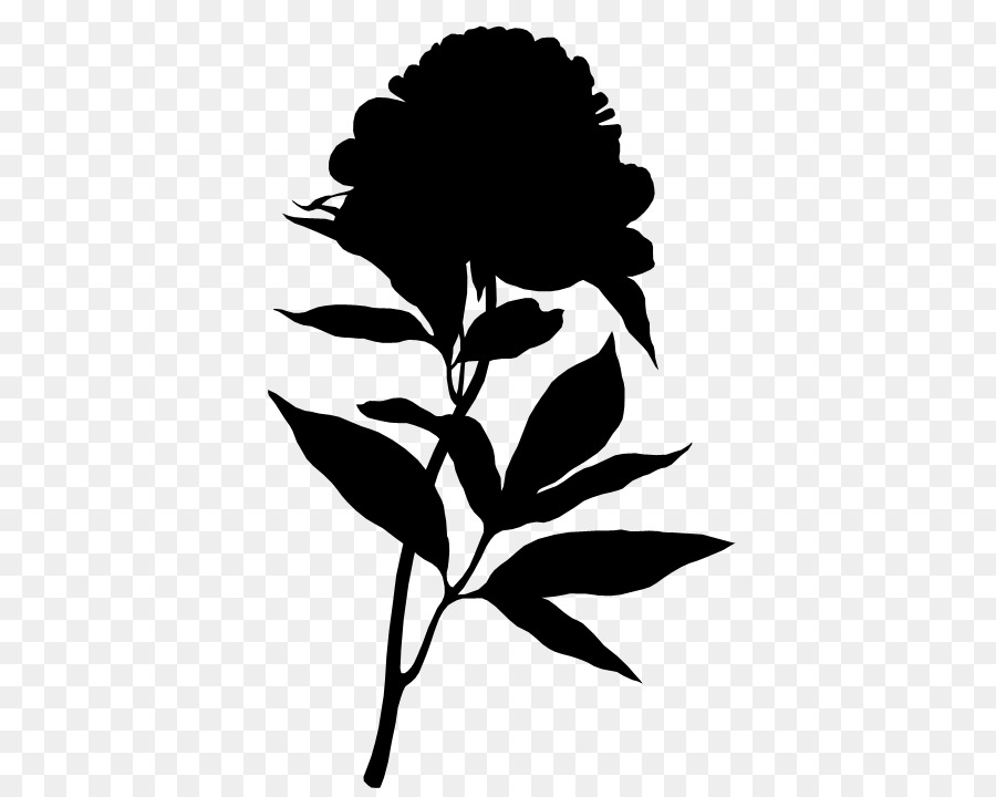 Fleur De Silhouette Noire，Usine PNG