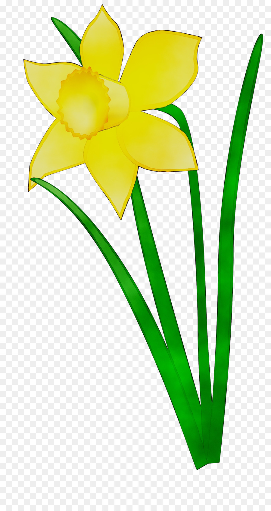 Fleur Jaune，Usine PNG