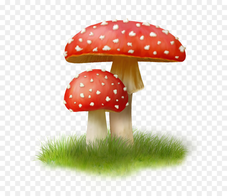 Champignons Rouges，Champignons PNG