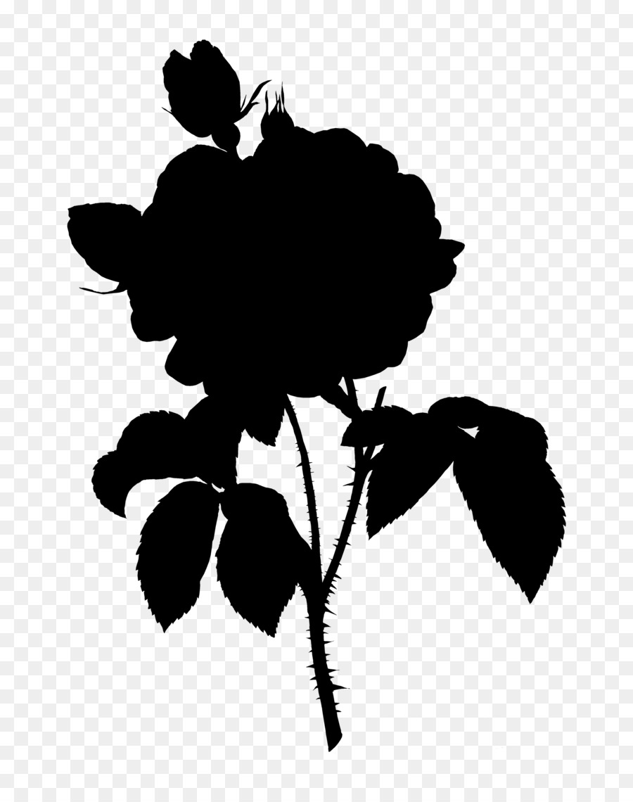 Silhouette De Plante，Fleur PNG