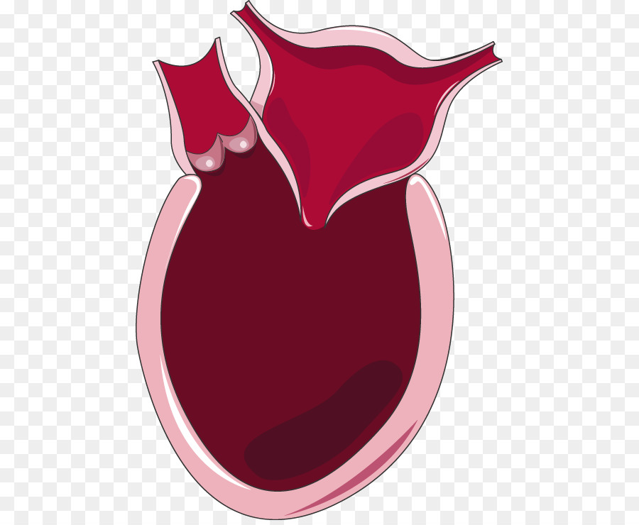 coeur-la-systole-la-diastole-png-coeur-la-systole-la-diastole