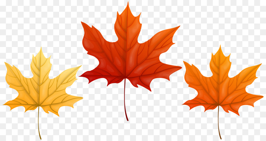 Feuilles D'automne，Automne PNG