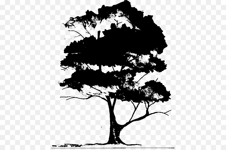 Silhouette D'arbre，Usine PNG