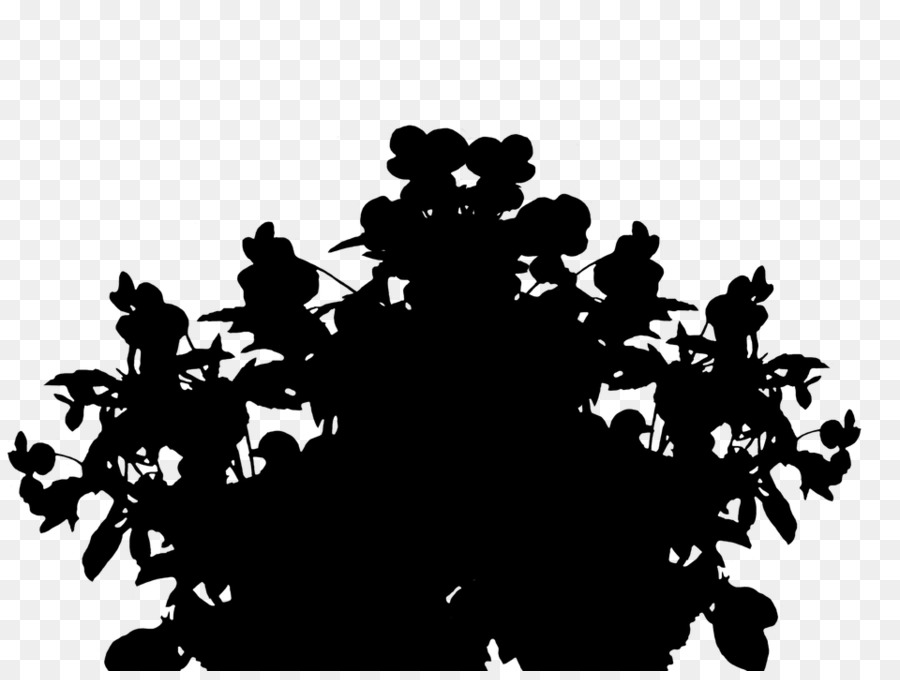 Silhouette De Plante，Feuilles PNG