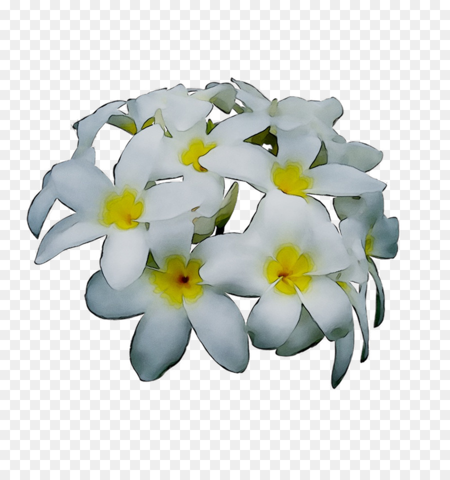 Fleurs Blanches，Fleurir PNG