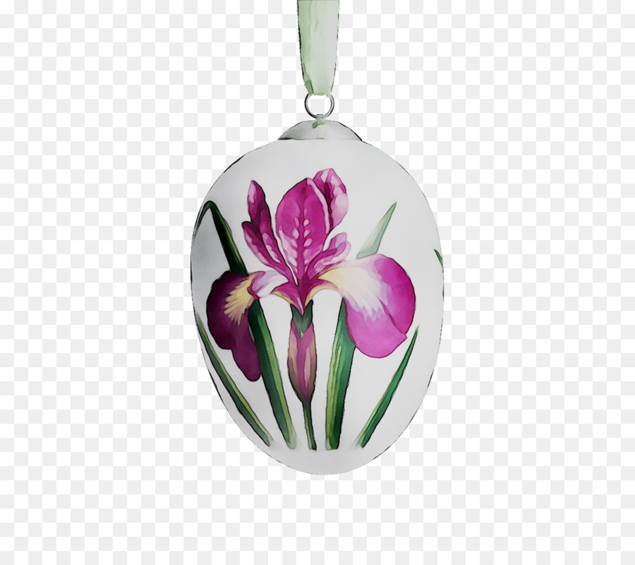 Tulip，Les Fleurs Coupées PNG