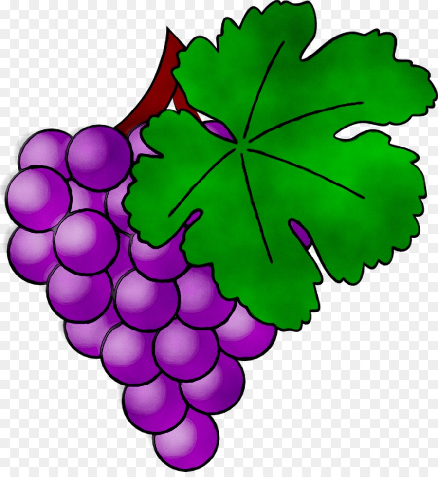 Raisins，Bouquet PNG