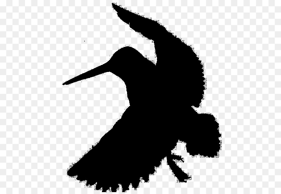 Silhouette D'oiseau，Aviaire PNG