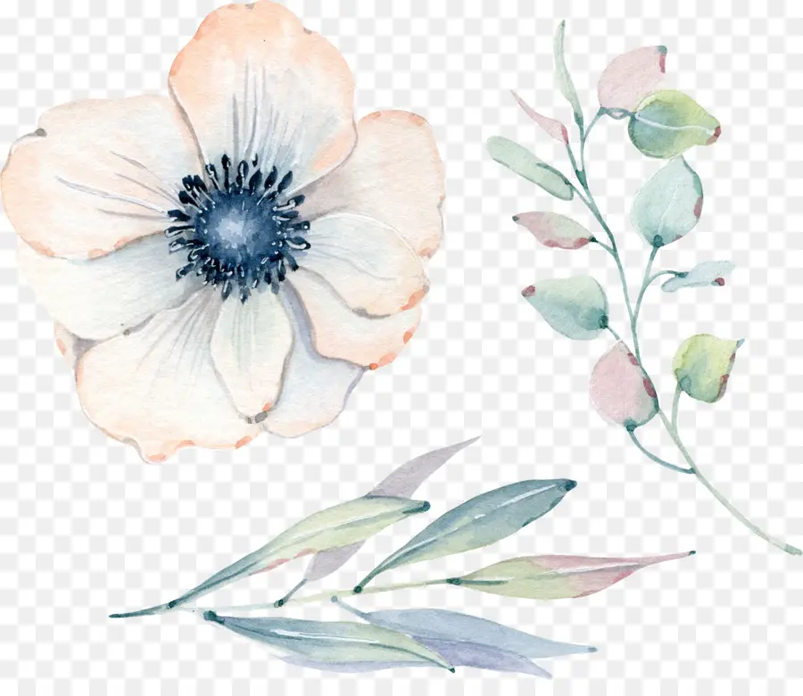 Fleurs Aquarelles，La Peinture à L'aquarelle PNG