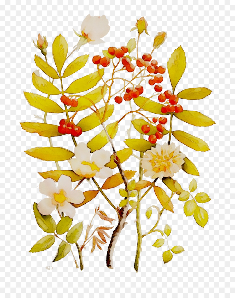 Design Floral，Les Fleurs Coupées PNG