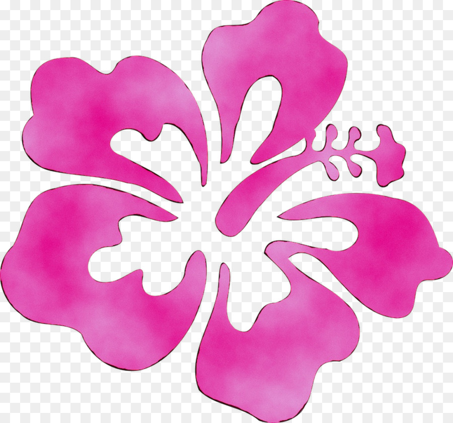 Fleur D'hibiscus，Rose PNG