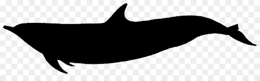 Silhouette De Baleine，Marin PNG