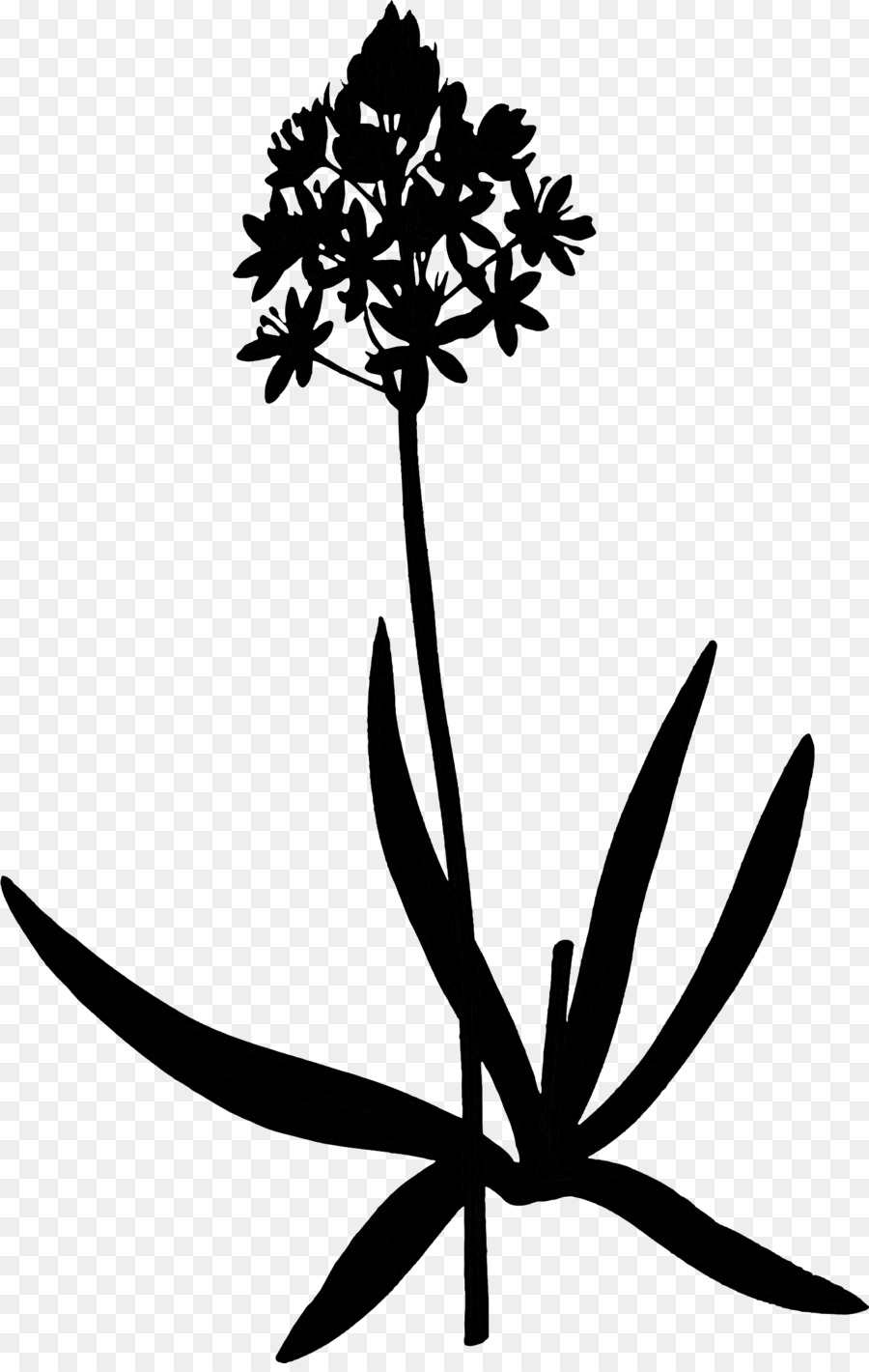 Fleur，Tige De La Plante PNG