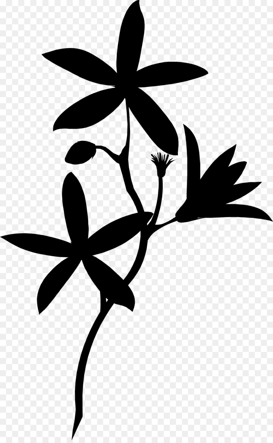 Silhouette De Branche，Feuilles PNG