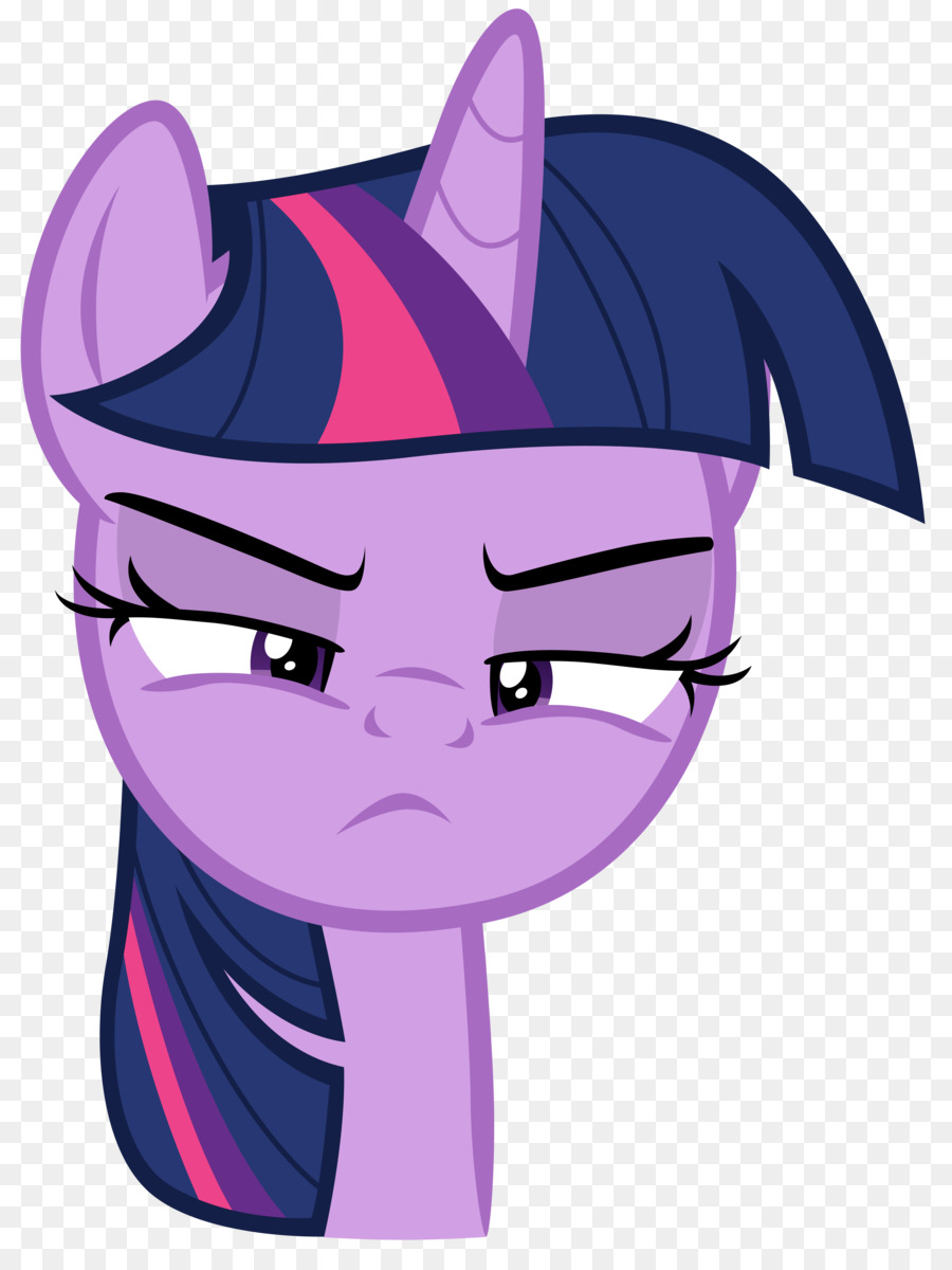 Twilight Sparkle，Rainbow Dash PNG