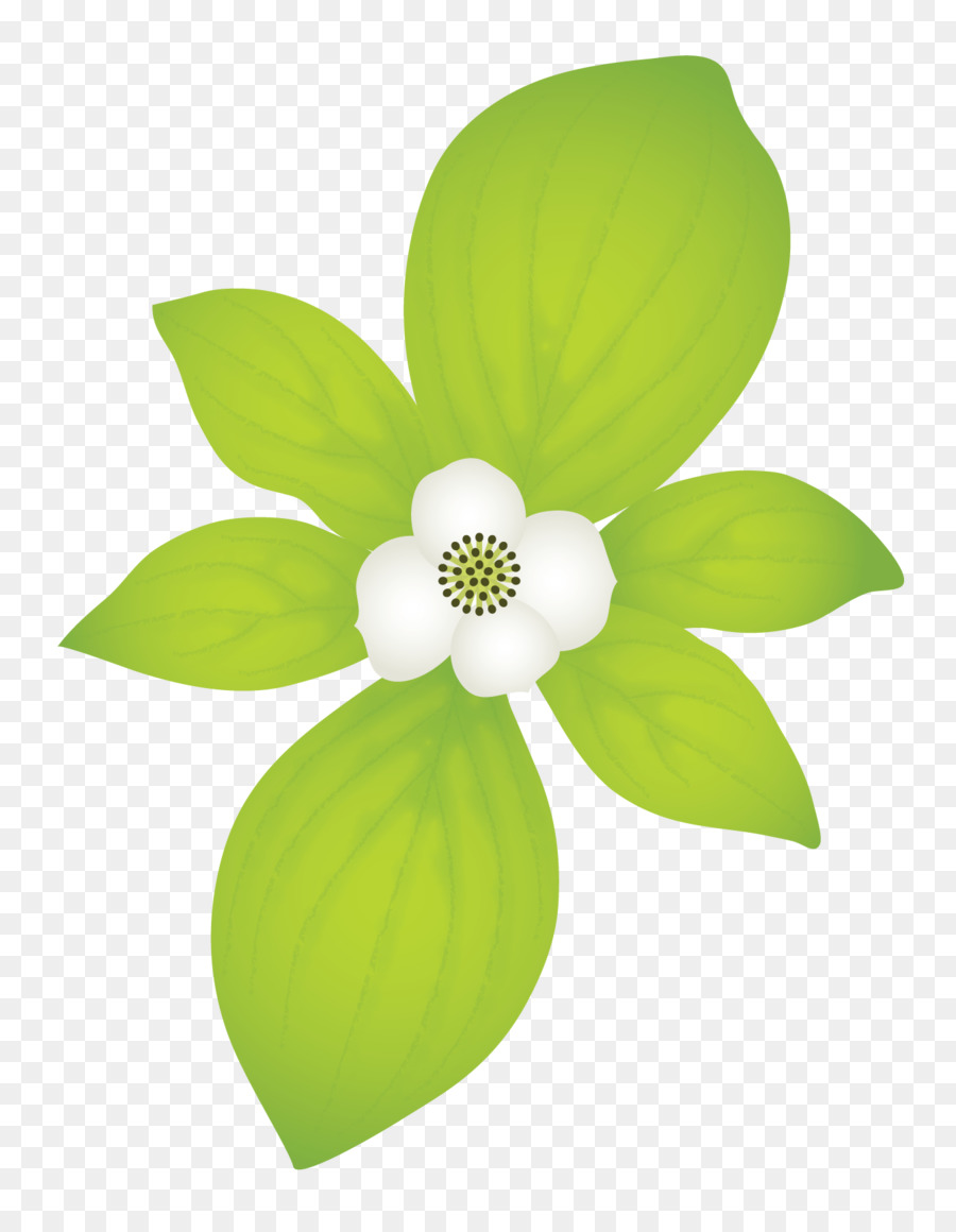 Feuille Verte Avec Fleur，Feuille PNG