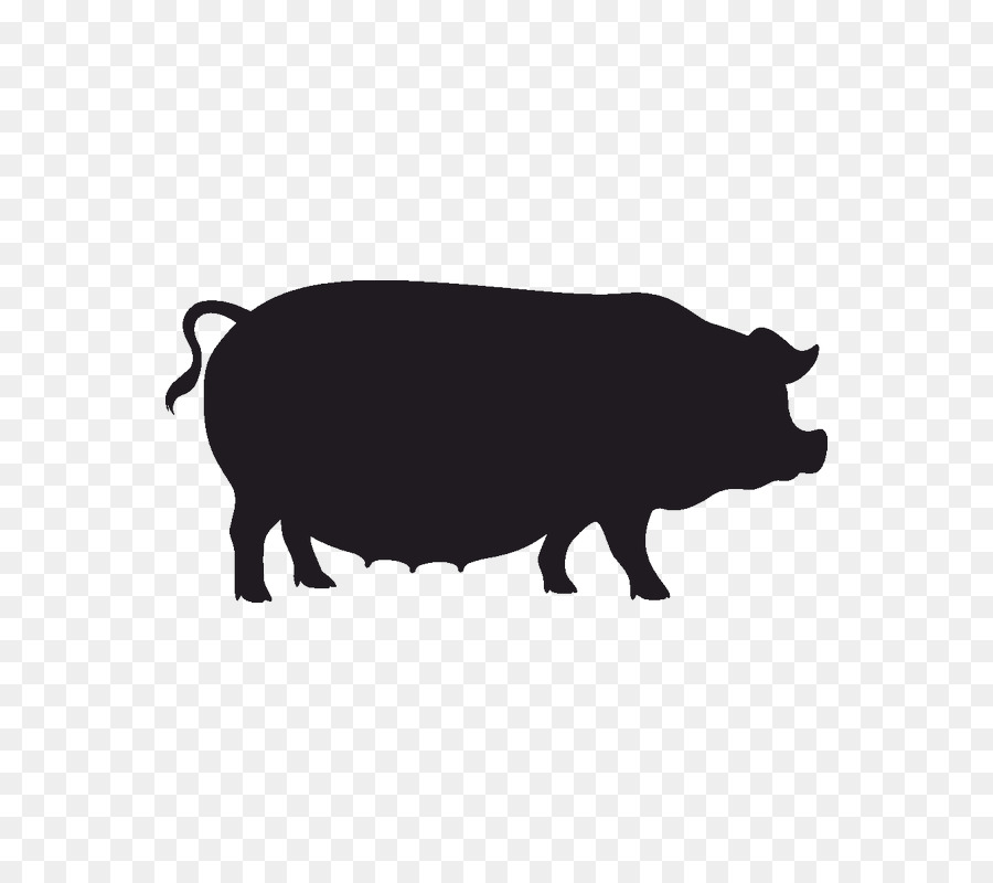 Cochon，Bacon PNG
