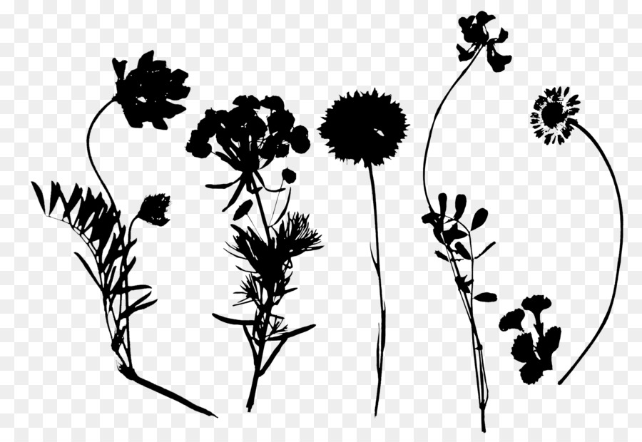 Fleurs，Plantes PNG