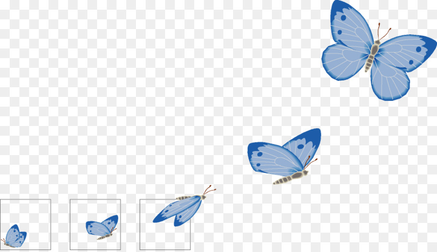 Papillon Bleu，Ailes PNG