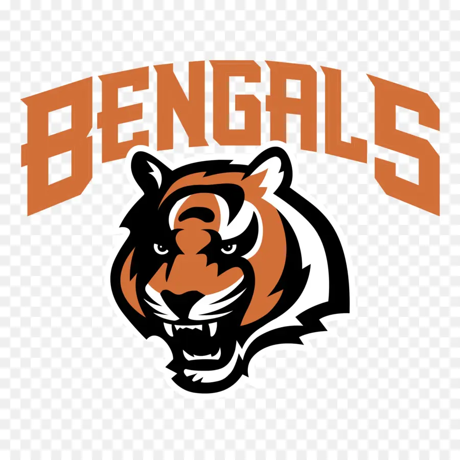 Bengals De Cincinnati，Cincinnati PNG