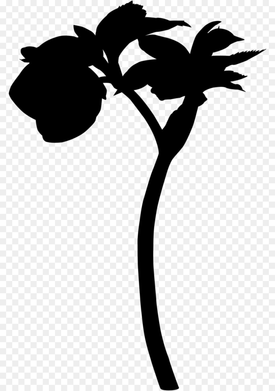 Silhouette De Plante，Feuilles PNG