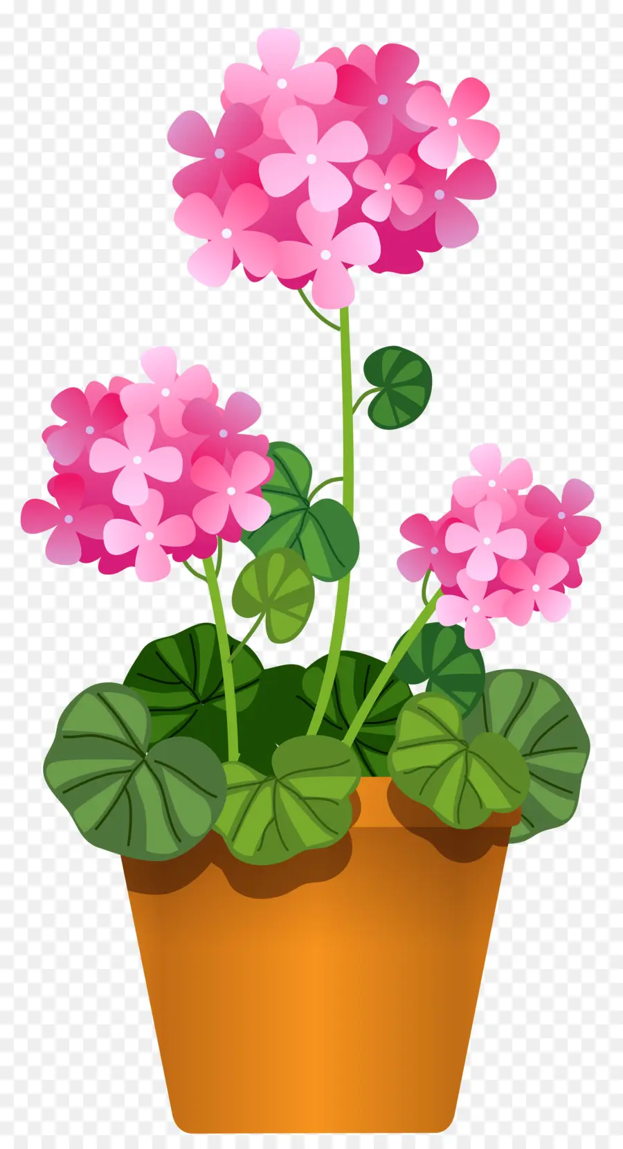 Fleurs Roses，Pot PNG