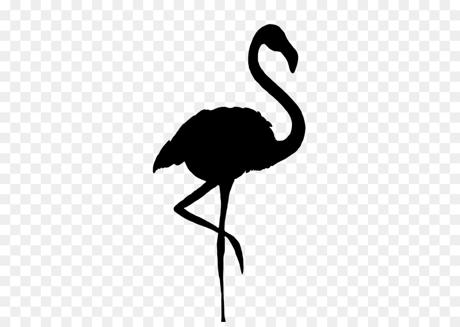 Silhouette De Flamant Rose，Oiseau PNG