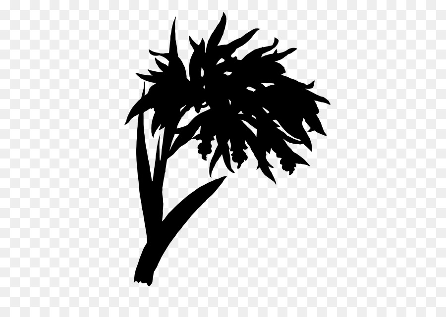 Silhouette De Plante，Feuilles PNG