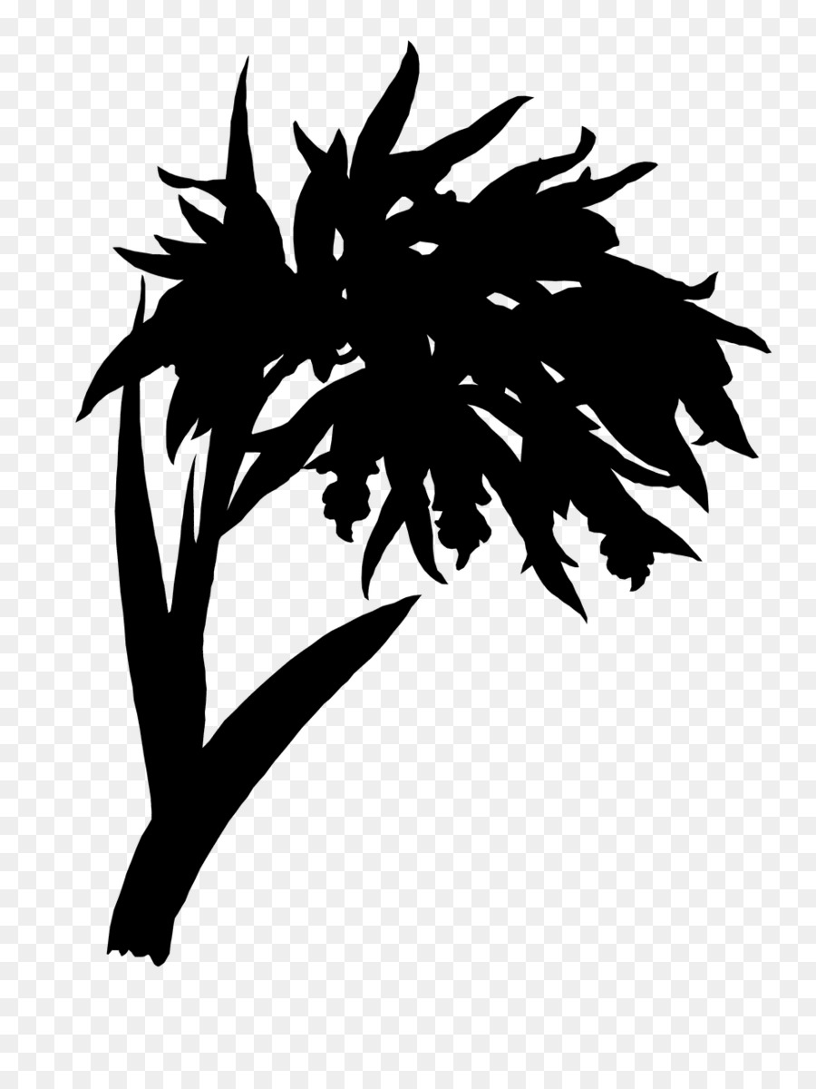 Silhouette De Plante，Feuilles PNG