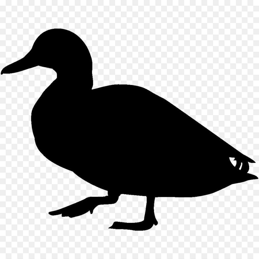 Canard，Silhouette PNG