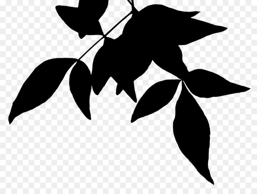 Silhouette De Plante，Fleur PNG