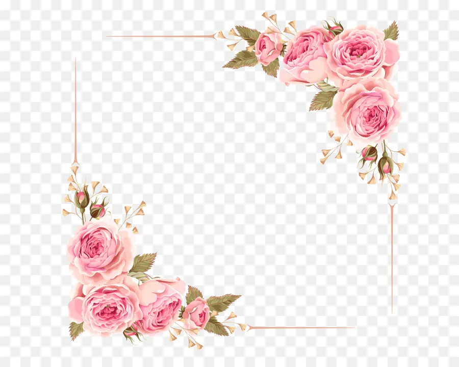 Cadre Floral，Fleurs PNG