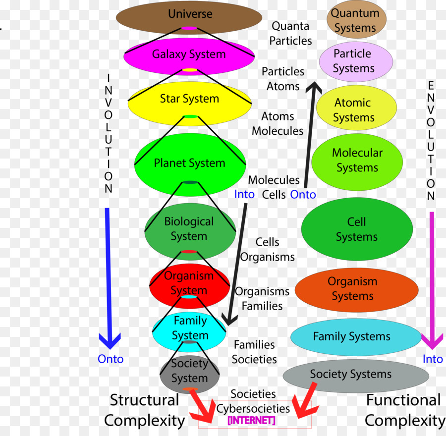 Mathématiques，Mathématicien PNG