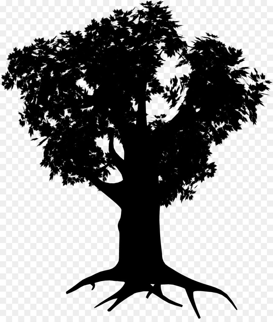 Silhouette D'arbre，Usine PNG