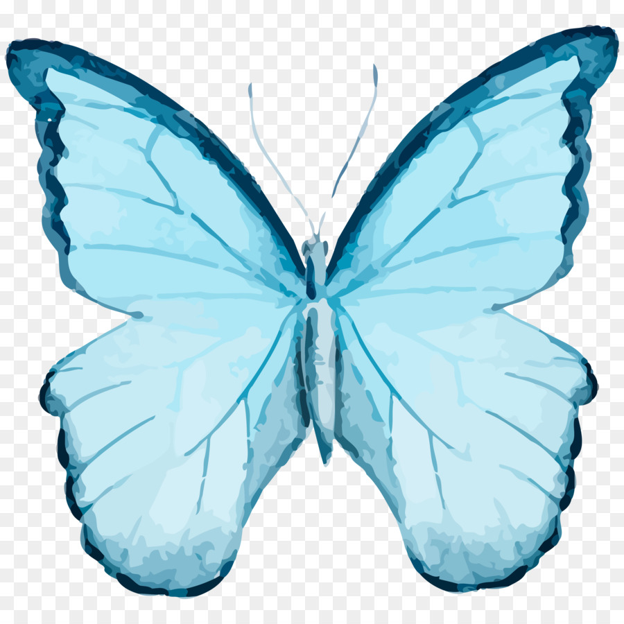 Papillon Bleu，Ailes PNG