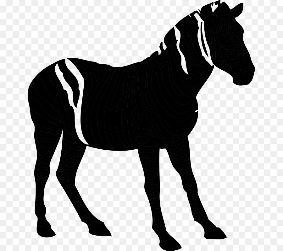 Cheval Américain De Quart，Silhouette PNG