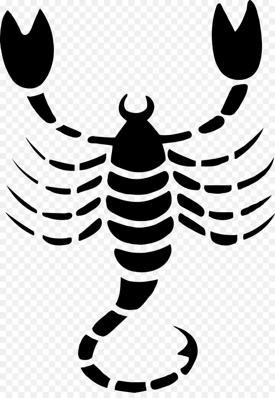 Scorpion，Signe Astrologique PNG