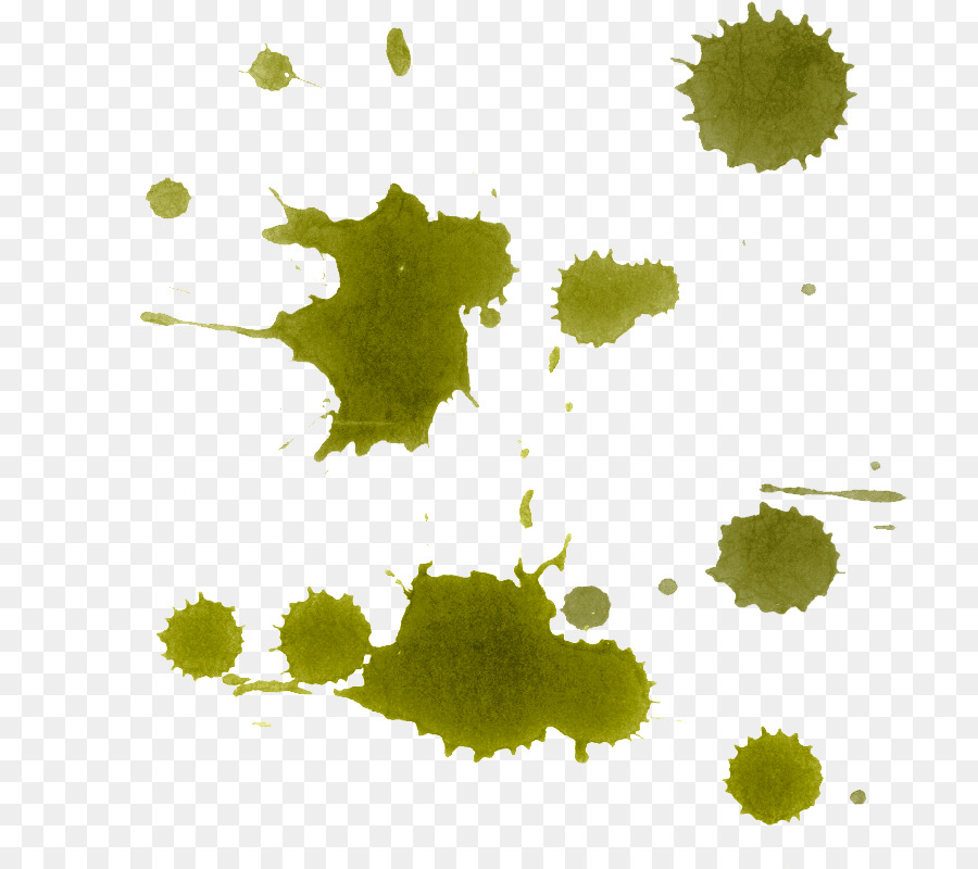 Éclaboussures D'encre Verte，Peinture PNG